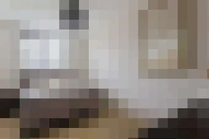 Populier 38 Leek thumbnail 21