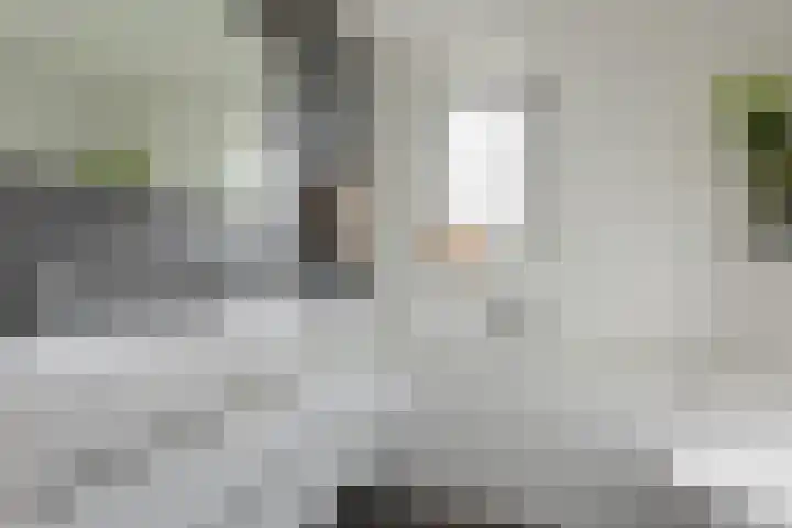 Populier 38 Leek thumbnail 30