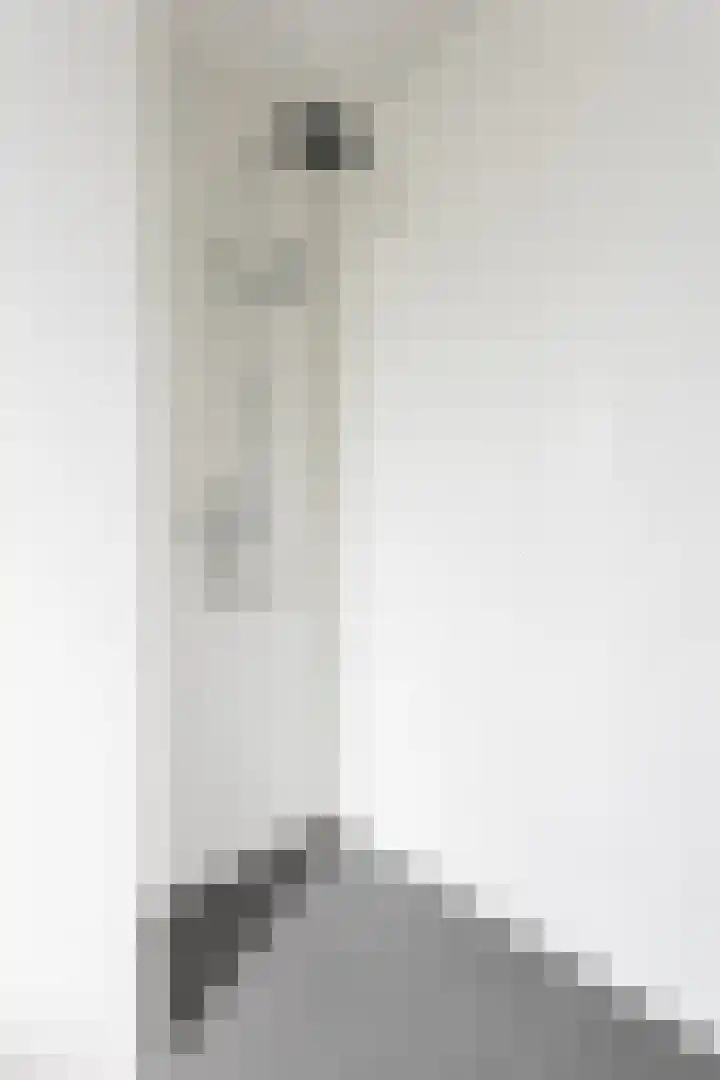 Populier 38 Leek thumbnail 31