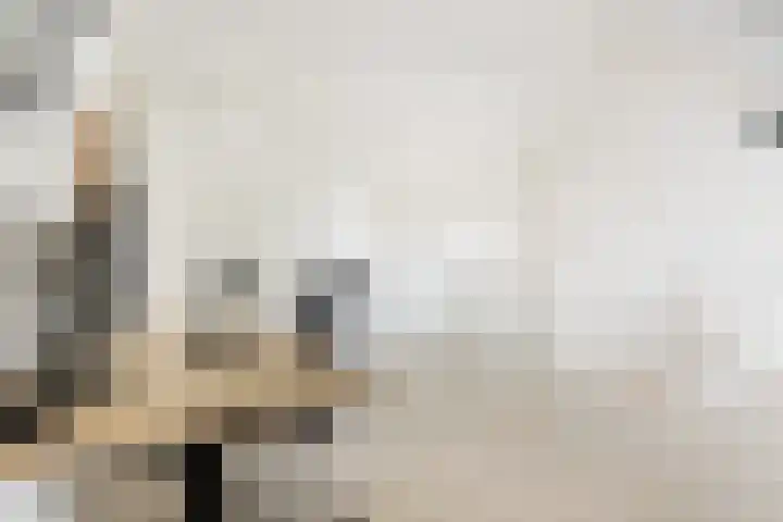 Populier 38 Leek thumbnail 32
