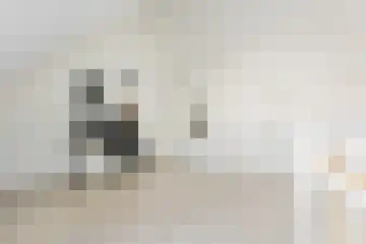 Populier 38 Leek thumbnail 33