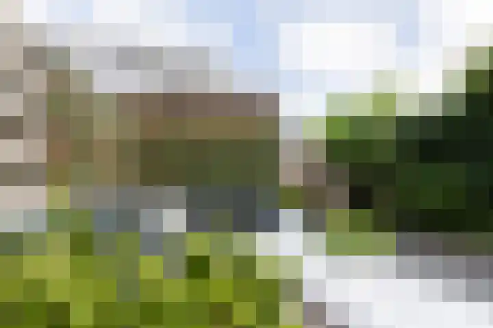 Populier 38 Leek thumbnail 38