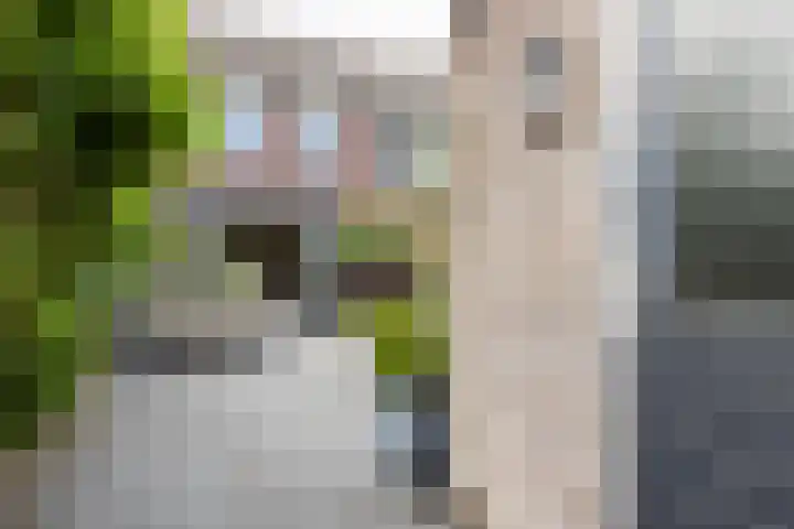 Populier 38 Leek thumbnail 40