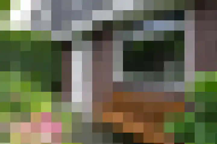 Populier 38 Leek thumbnail 42