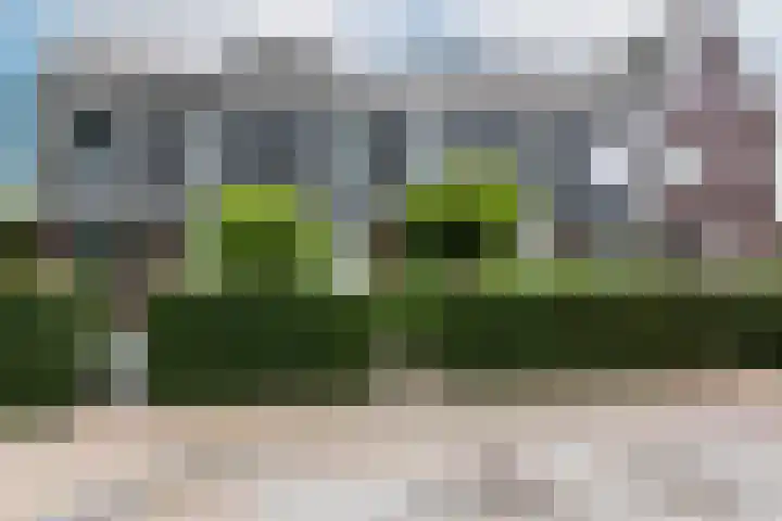 Populier 38 Leek thumbnail 43