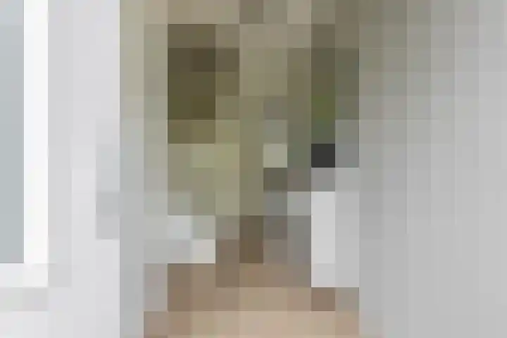 Populier 38 Leek thumbnail 6