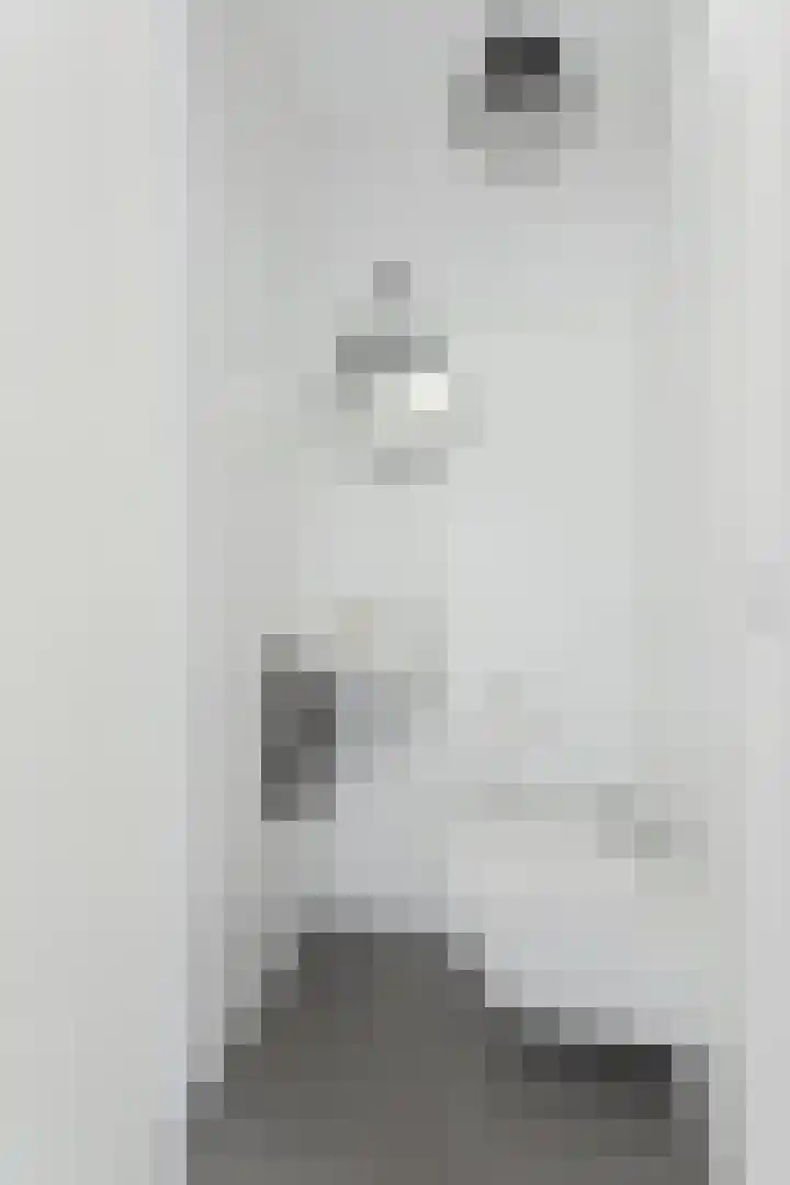 Populier 38 Leek thumbnail 7