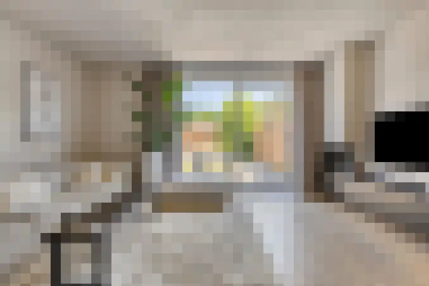Populier 4 Leek thumbnail 10