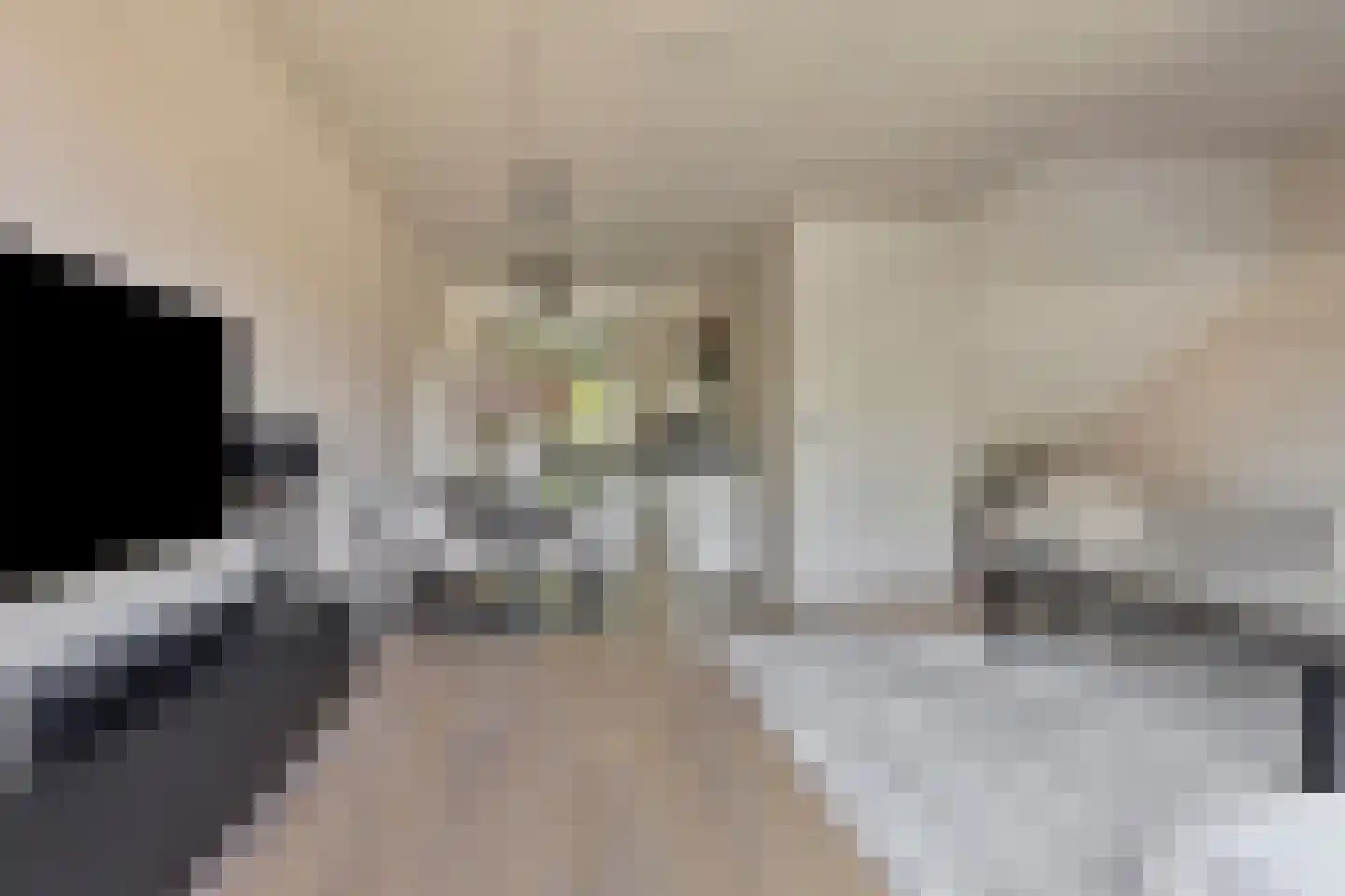 Populier 4 Leek thumbnail 14