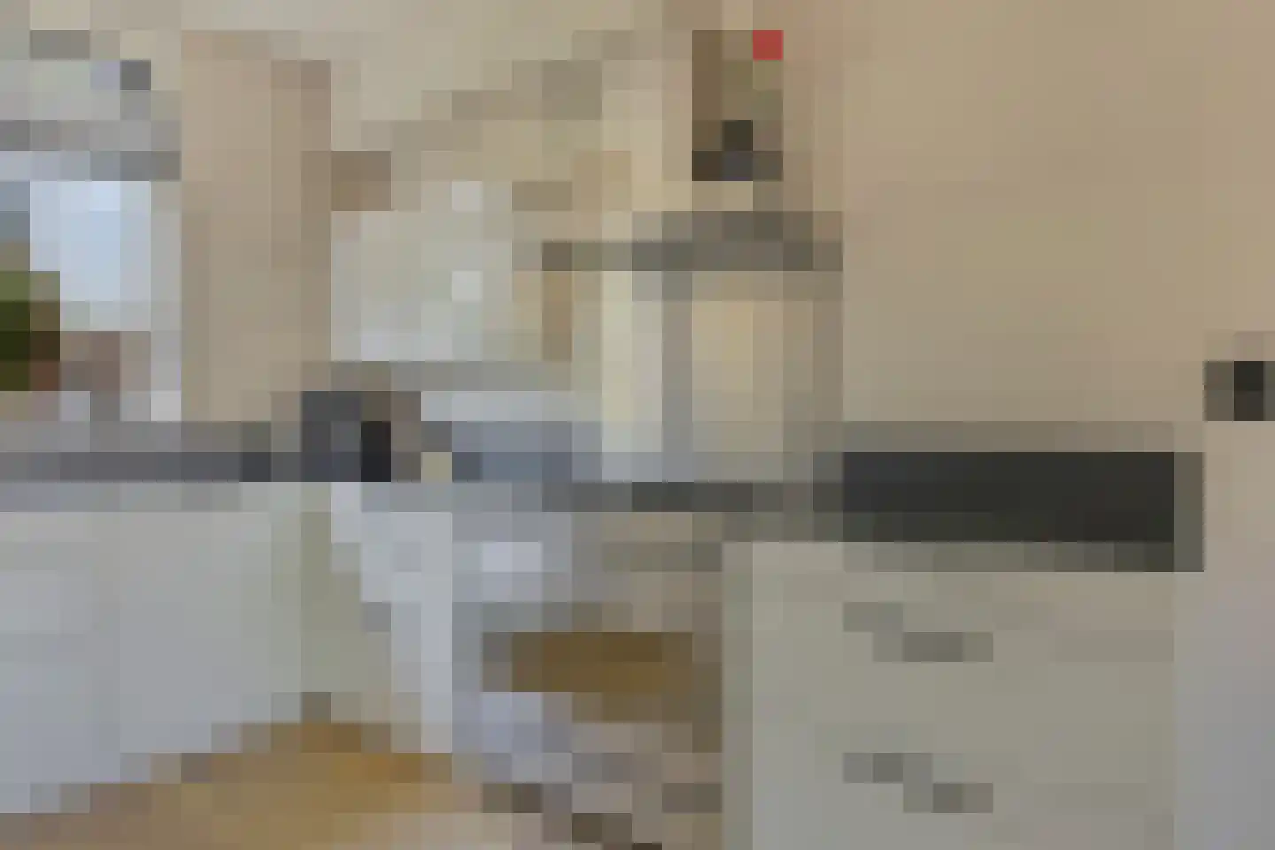 Populier 4 Leek thumbnail 17