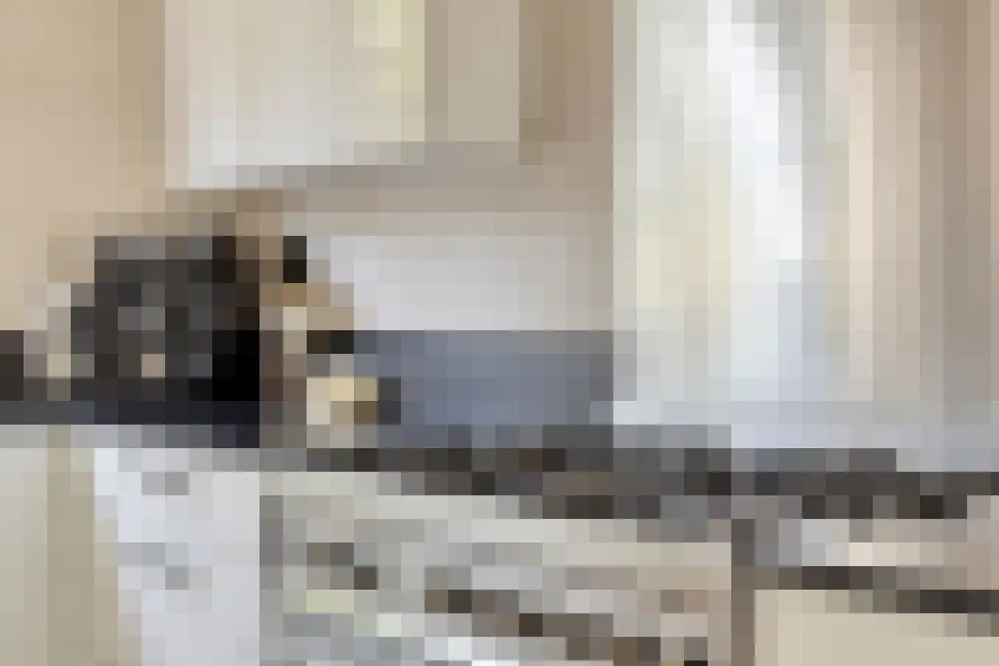 Populier 4 Leek thumbnail 19