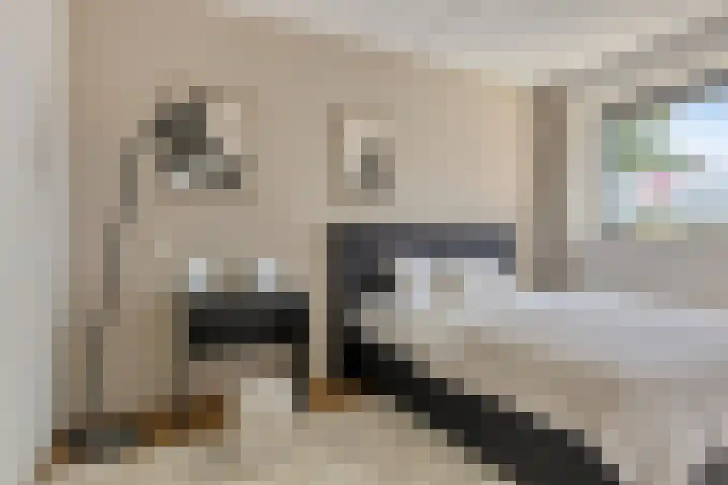 Populier 4 Leek thumbnail 21