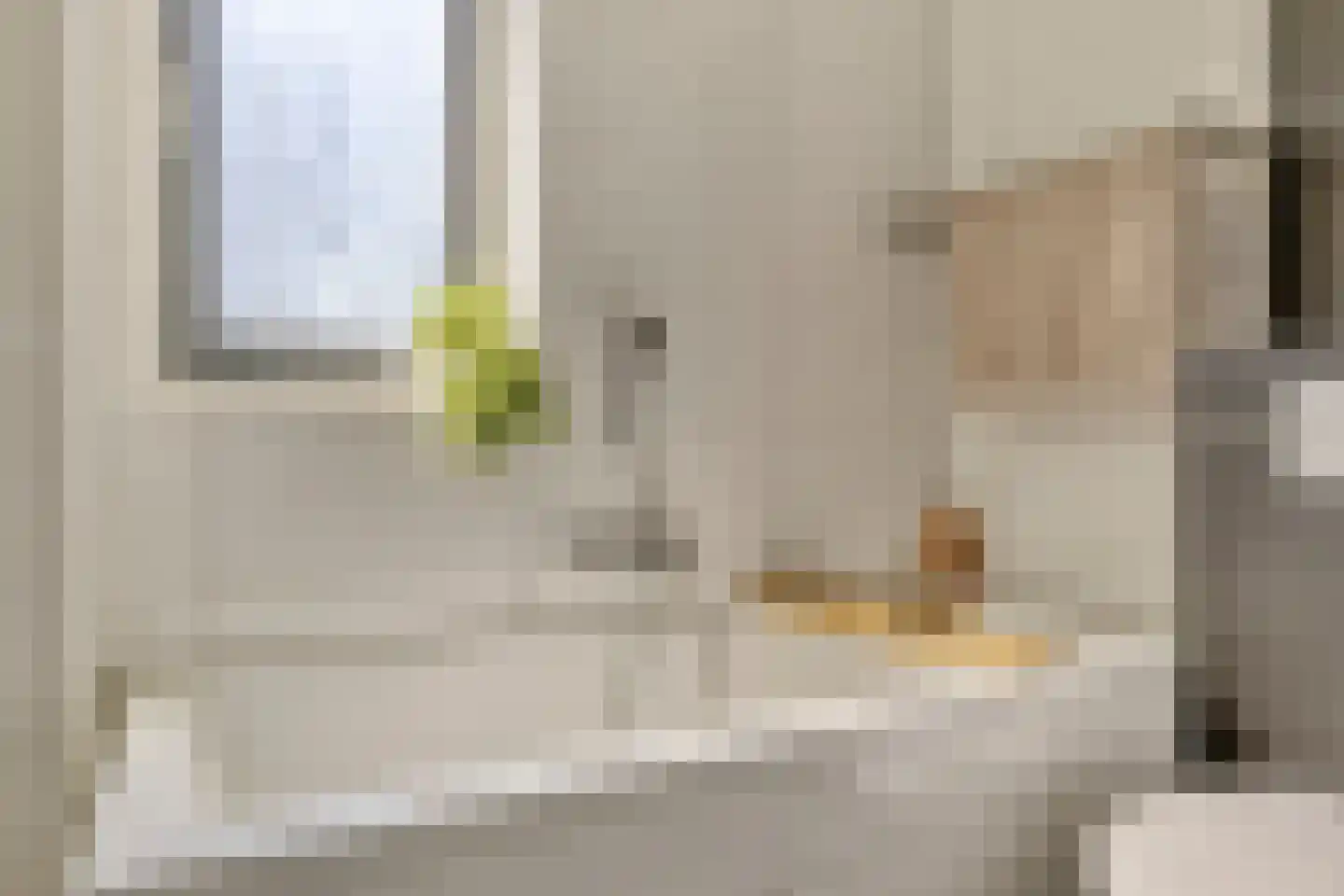Populier 4 Leek thumbnail 24