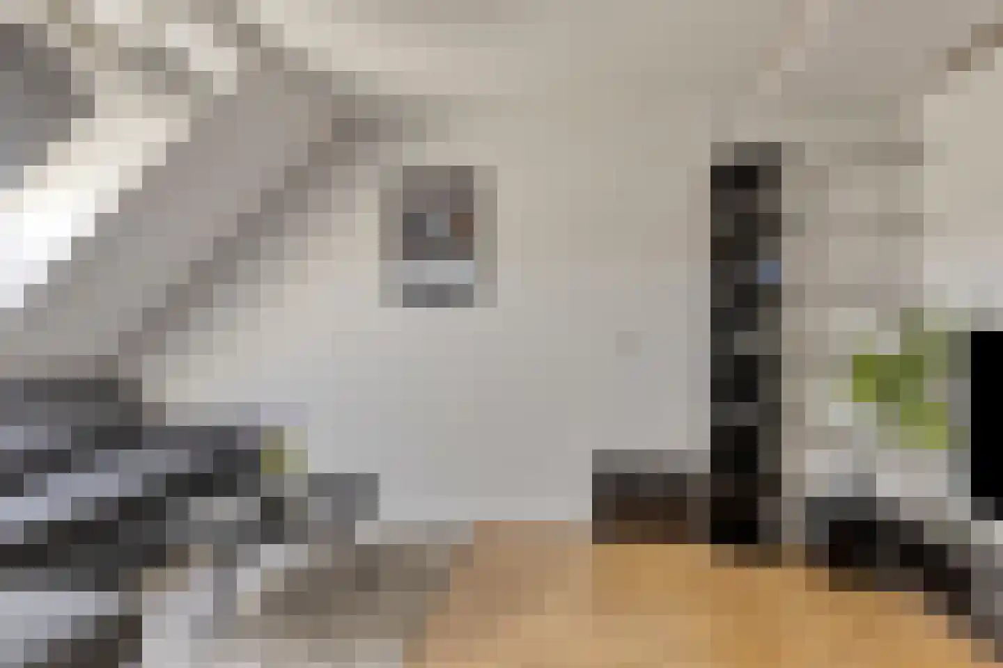 Populier 4 Leek thumbnail 29