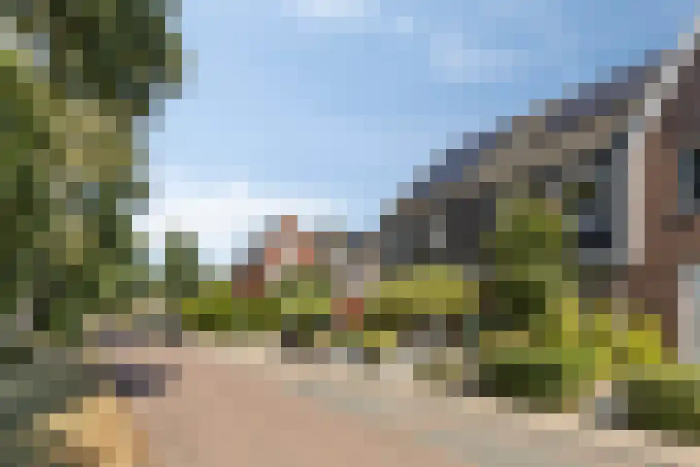Populier 4 Leek thumbnail 31
