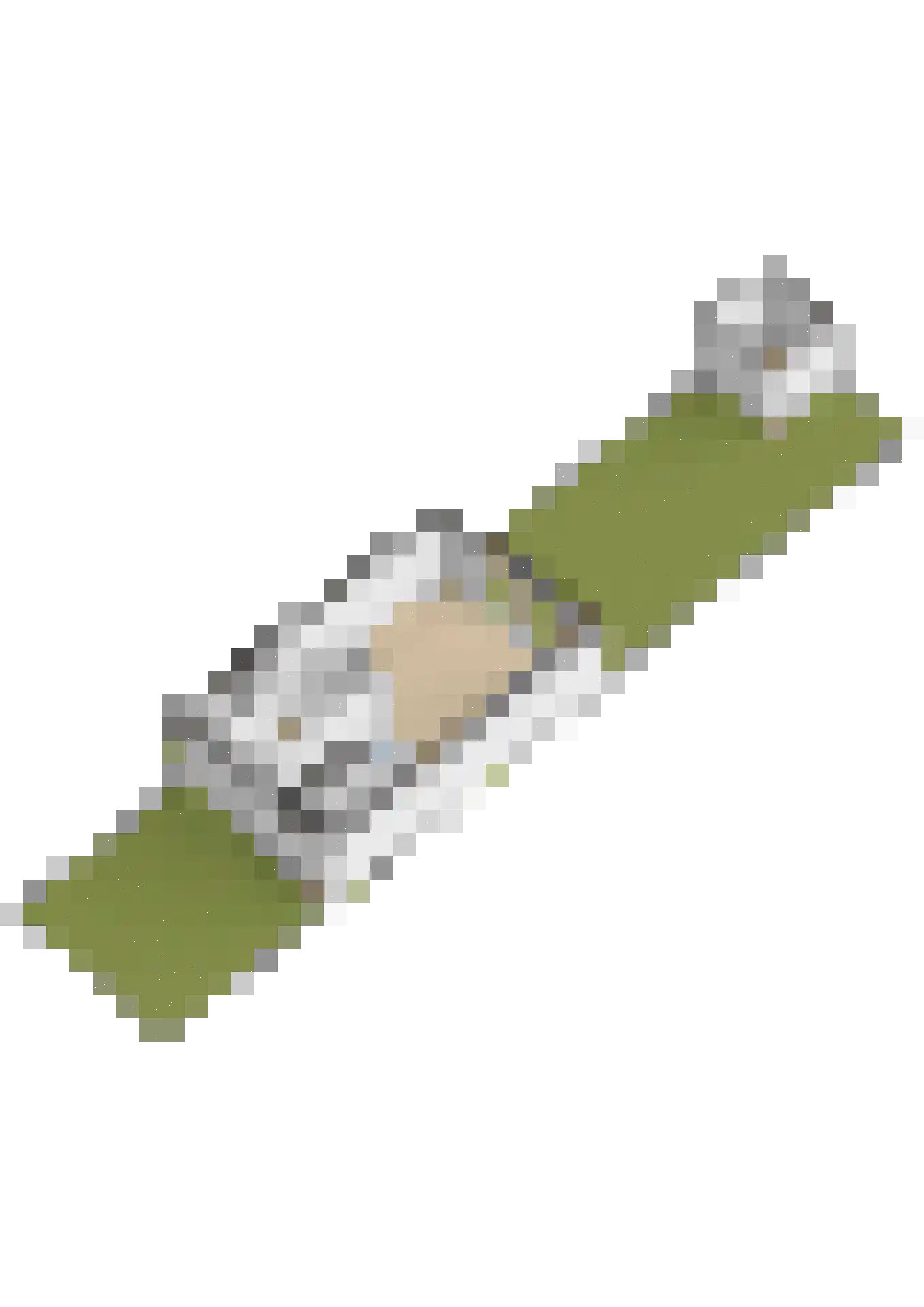 Populier 4 Leek thumbnail 39