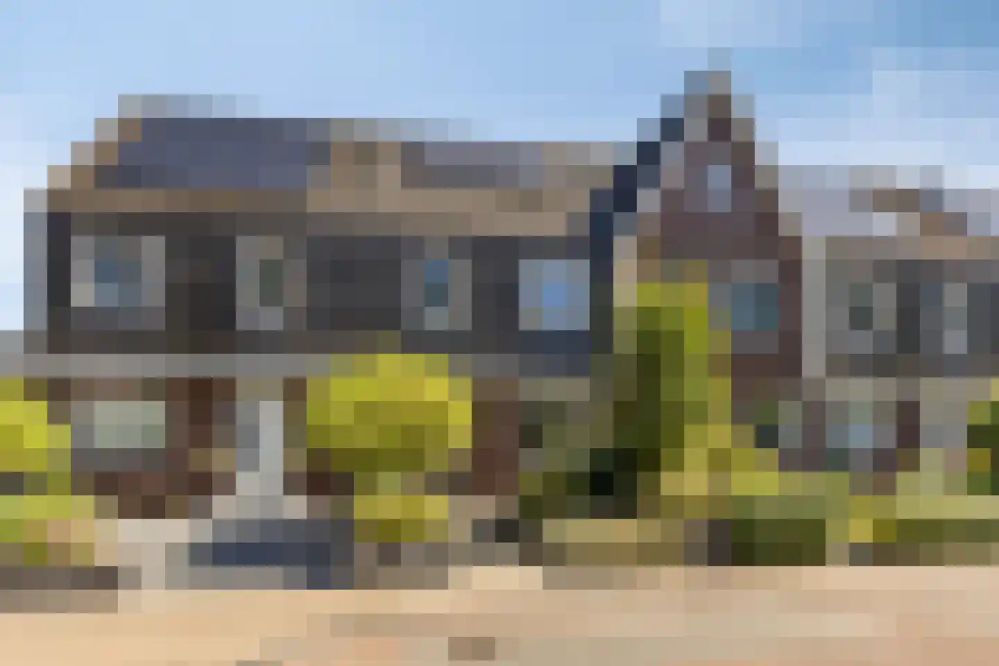 Populier 4 Leek thumbnail 7