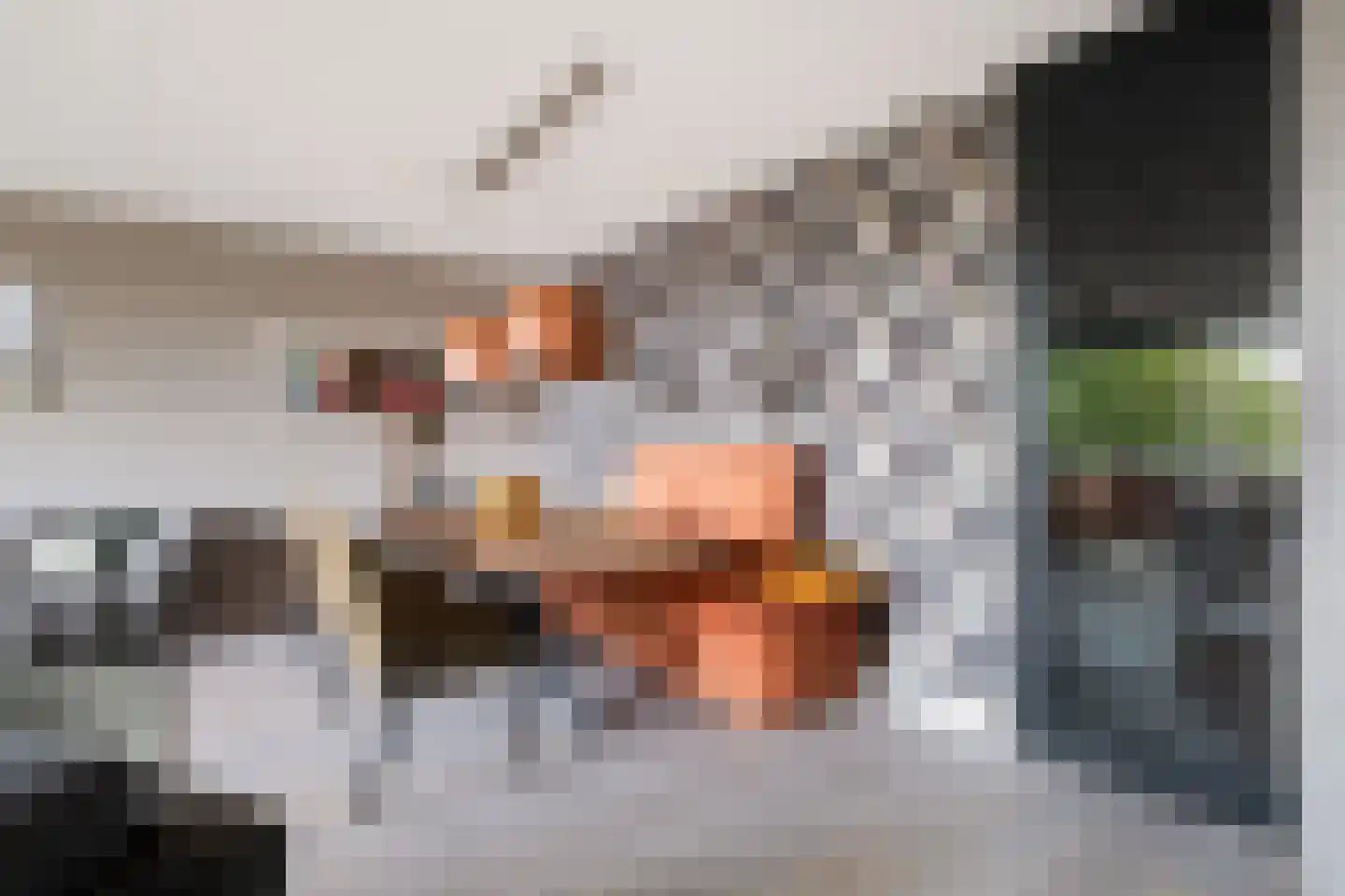 Populier 42 Naaldwijk thumbnail 11