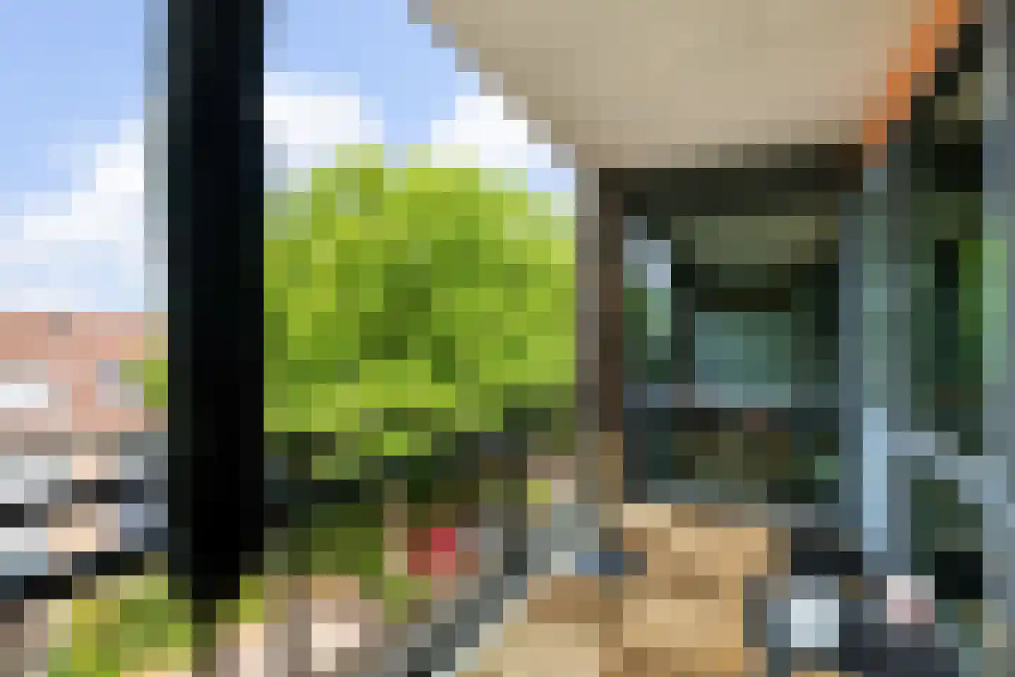 Populier 42 Naaldwijk thumbnail 19