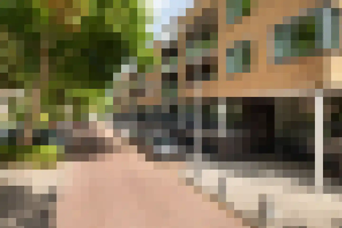 Populier 42 Naaldwijk thumbnail 45