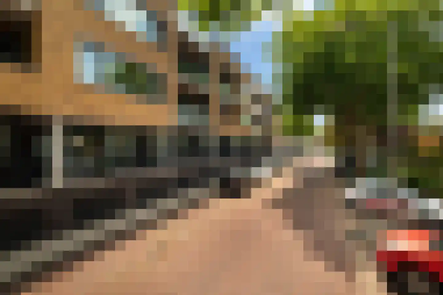 Populier 42 Naaldwijk thumbnail 48