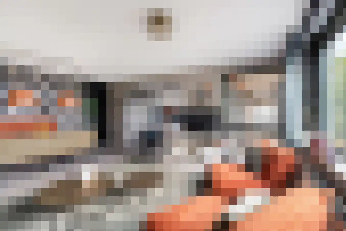 Populier 42 Naaldwijk thumbnail 9