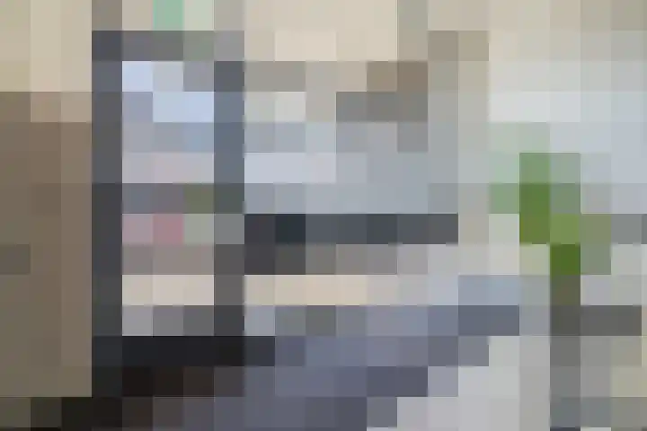 Populier 44 Naaldwijk thumbnail 4