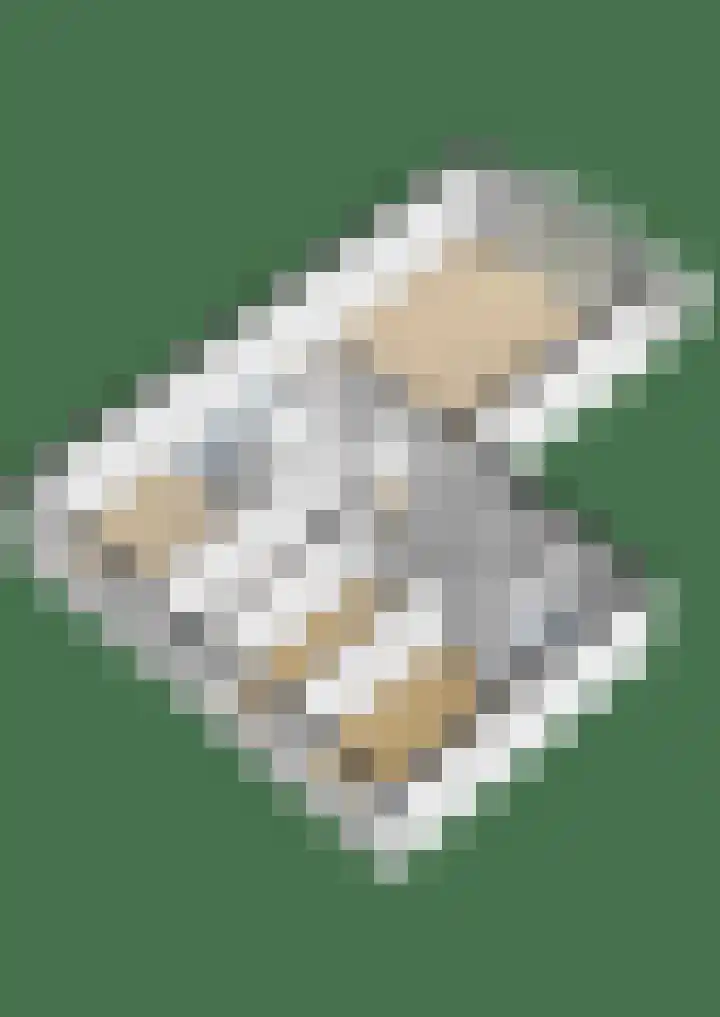 Populier 44 Naaldwijk thumbnail 43