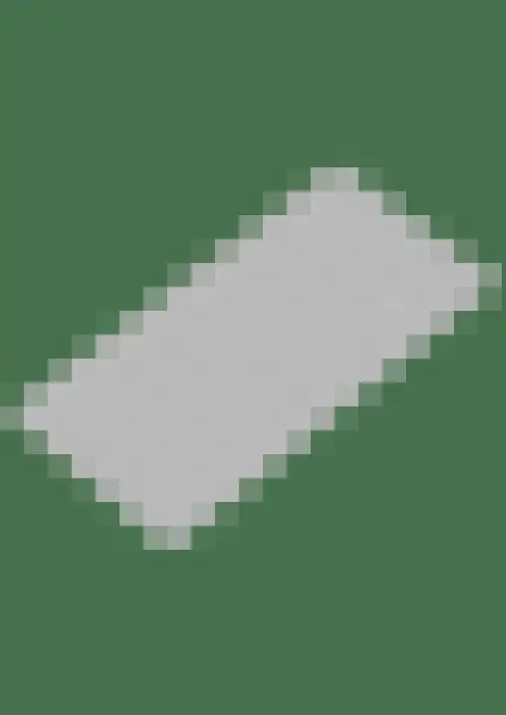 Populier 44 Naaldwijk thumbnail 45