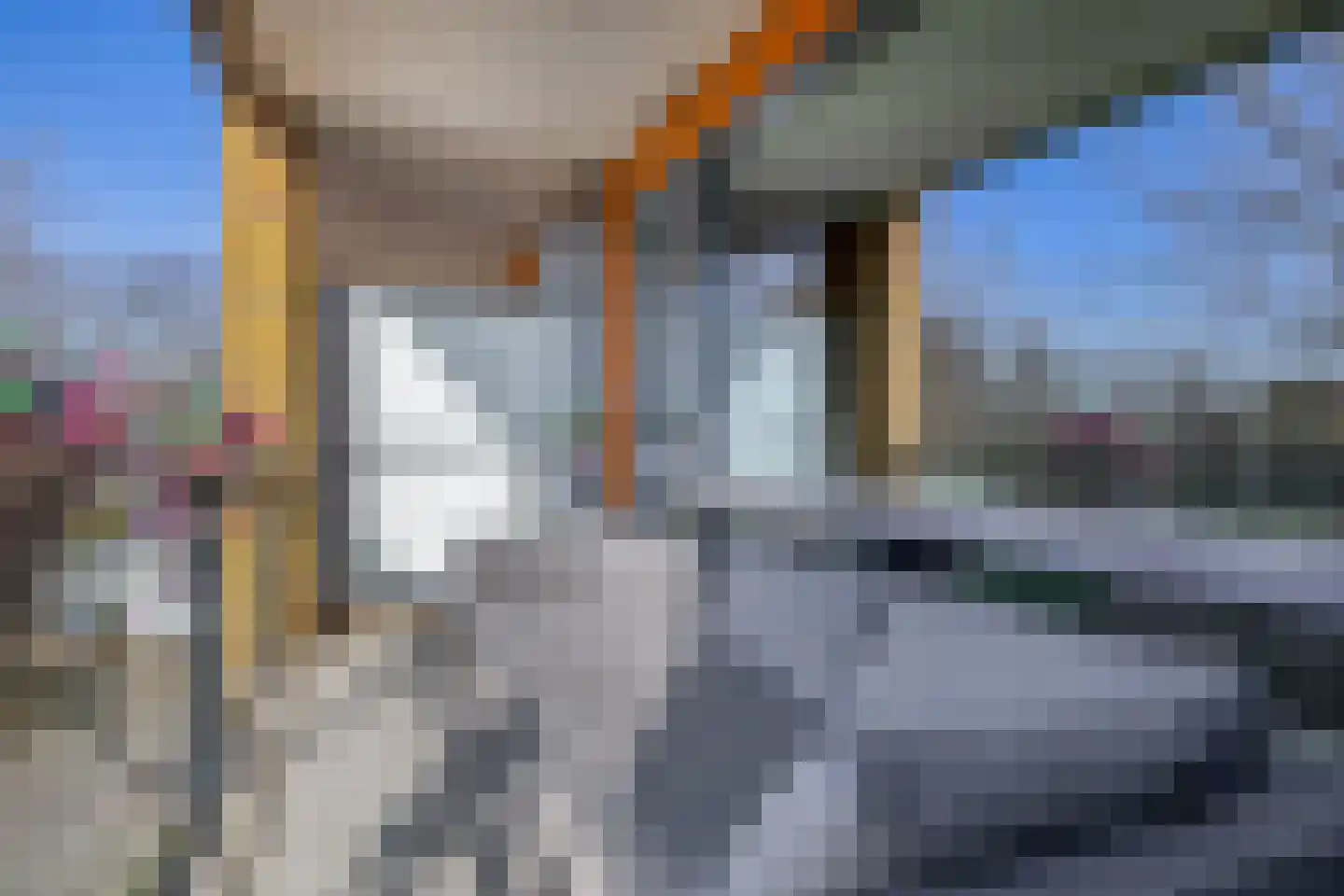 Populier 44 Naaldwijk thumbnail 5