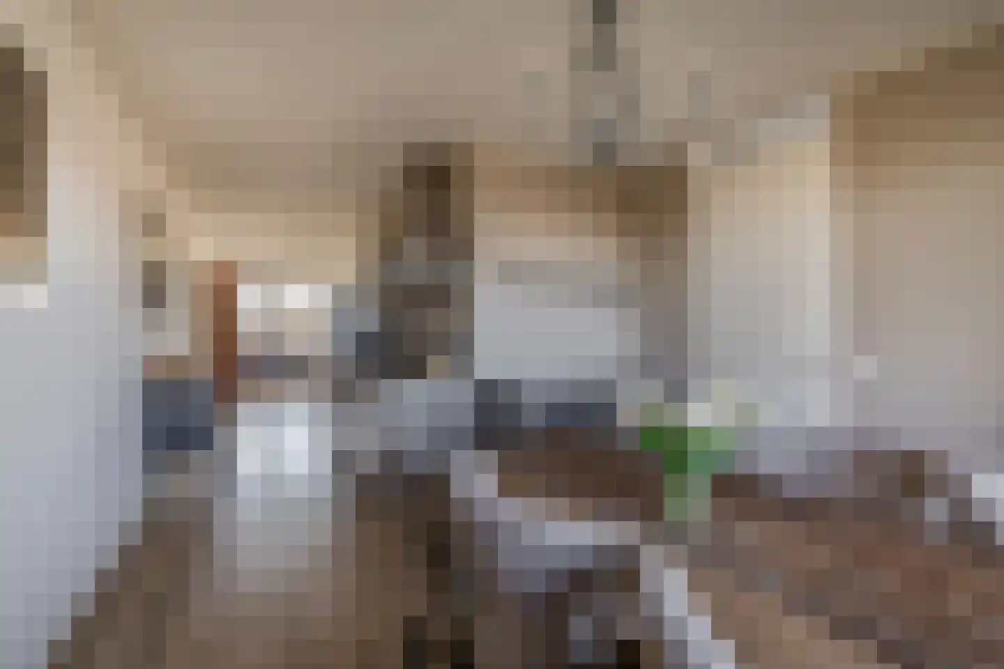 Populier 44 Naaldwijk thumbnail 8