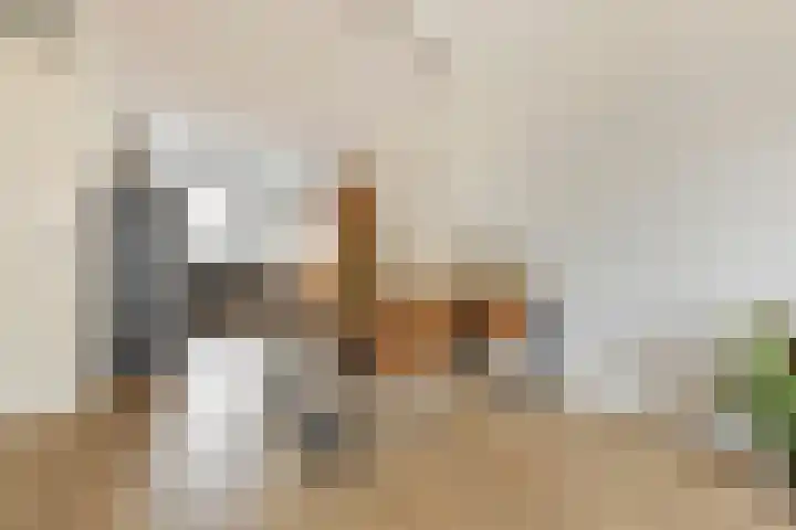 Populier 7 Leek thumbnail 11