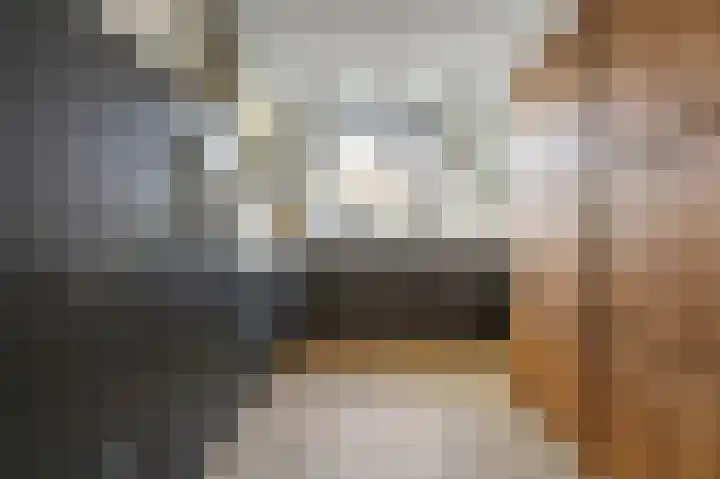 Populier 7 Leek thumbnail 13