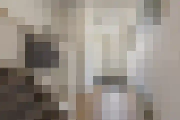 Populier 7 Leek thumbnail 15
