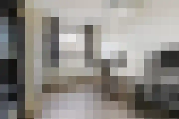 Populier 7 Leek thumbnail 19