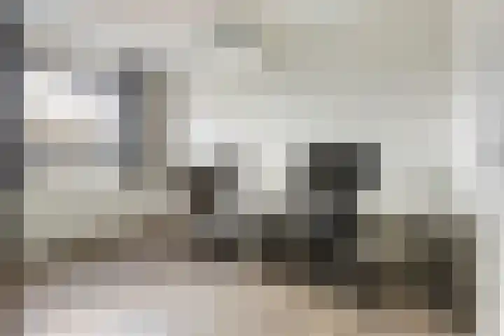 Populier 7 Leek thumbnail 20