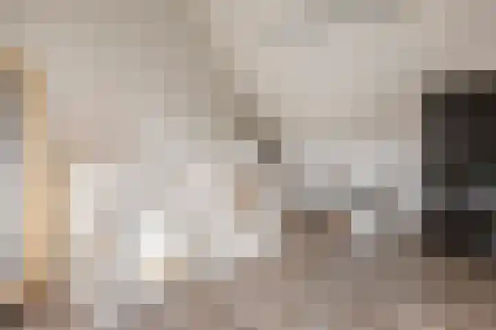 Populier 7 Leek thumbnail 23