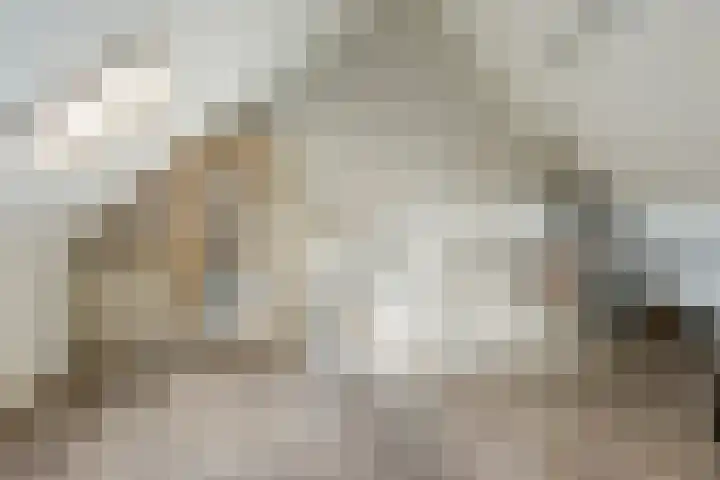 Populier 7 Leek thumbnail 24