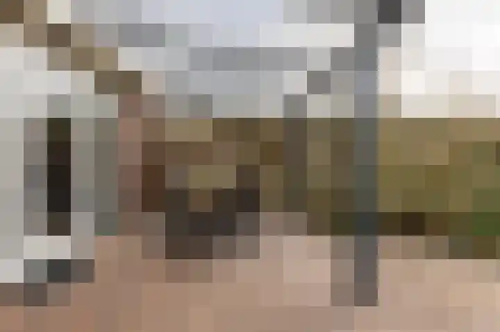 Populier 7 Leek thumbnail 26