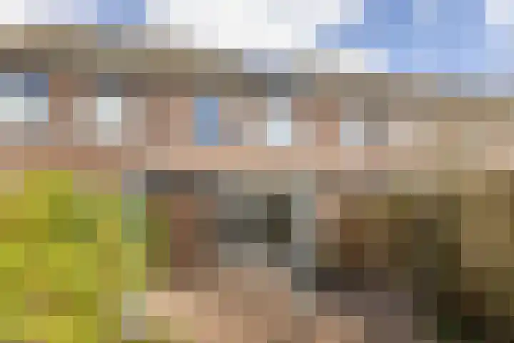 Populier 7 Leek thumbnail 27