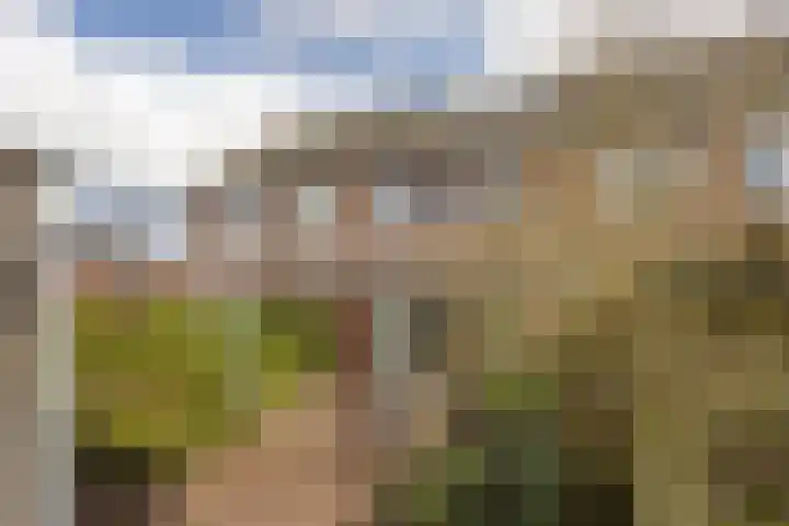 Populier 7 Leek thumbnail 28