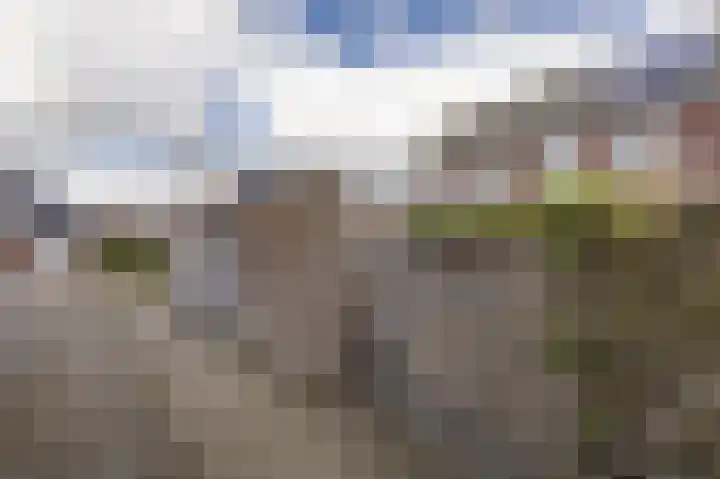 Populier 7 Leek thumbnail 29