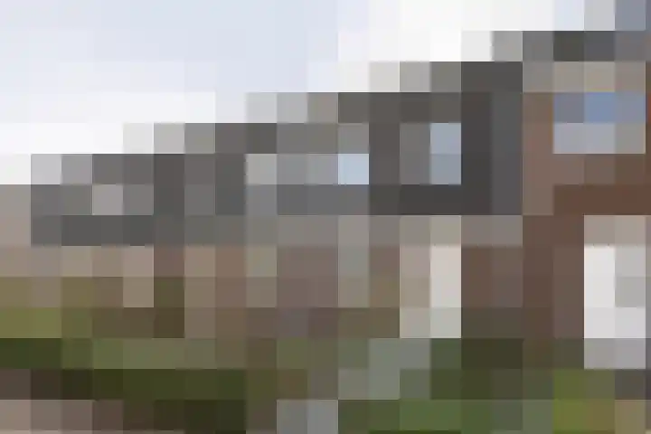Populier 7 Leek thumbnail 30