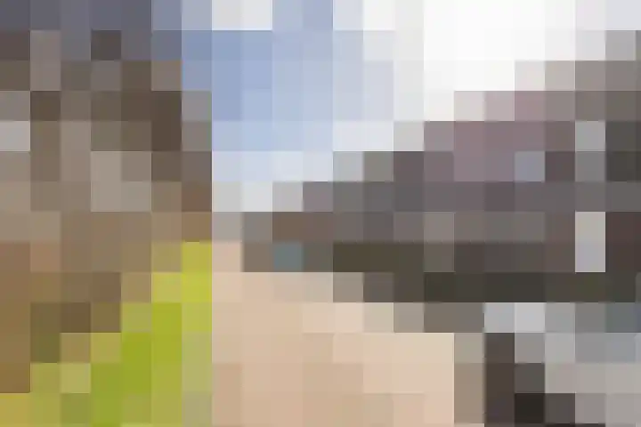 Populier 7 Leek thumbnail 31