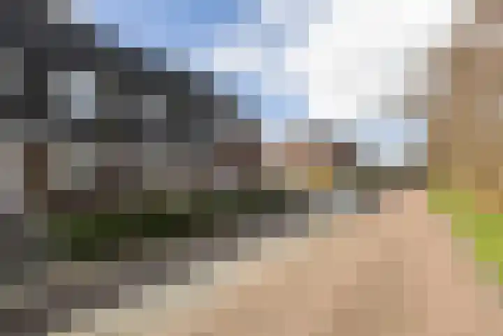 Populier 7 Leek thumbnail 32