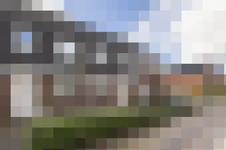Populier 7 Leek thumbnail 33