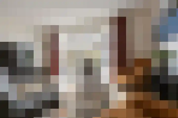 Populier 7 Leek thumbnail 8