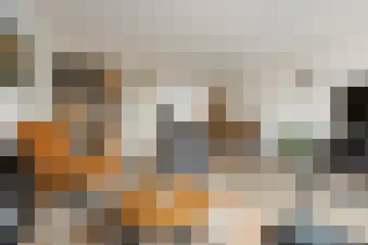 Populier 7 Leek thumbnail 9