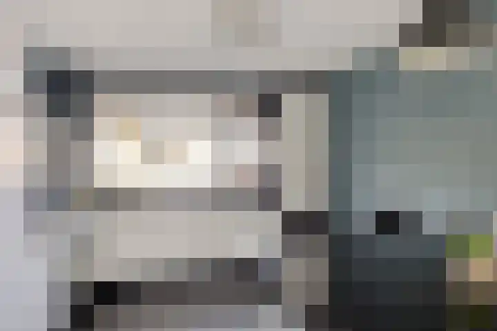 Populier 74 Best thumbnail 13