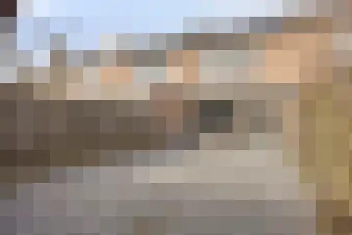 Populier 74 Best thumbnail 25